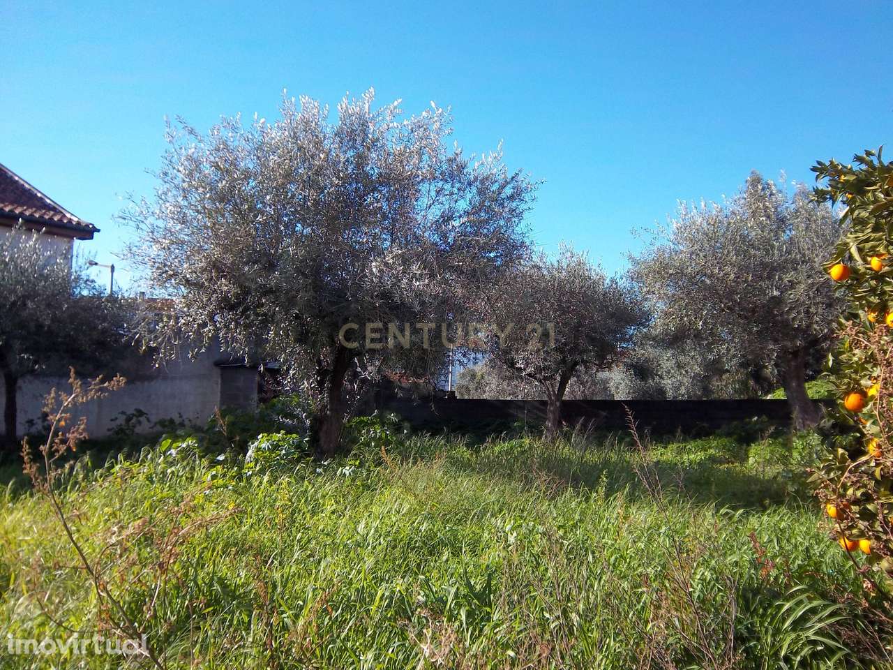 Terreno rústico em Alcains, o seu refúgio perfeito - Grande imagem: 2/4