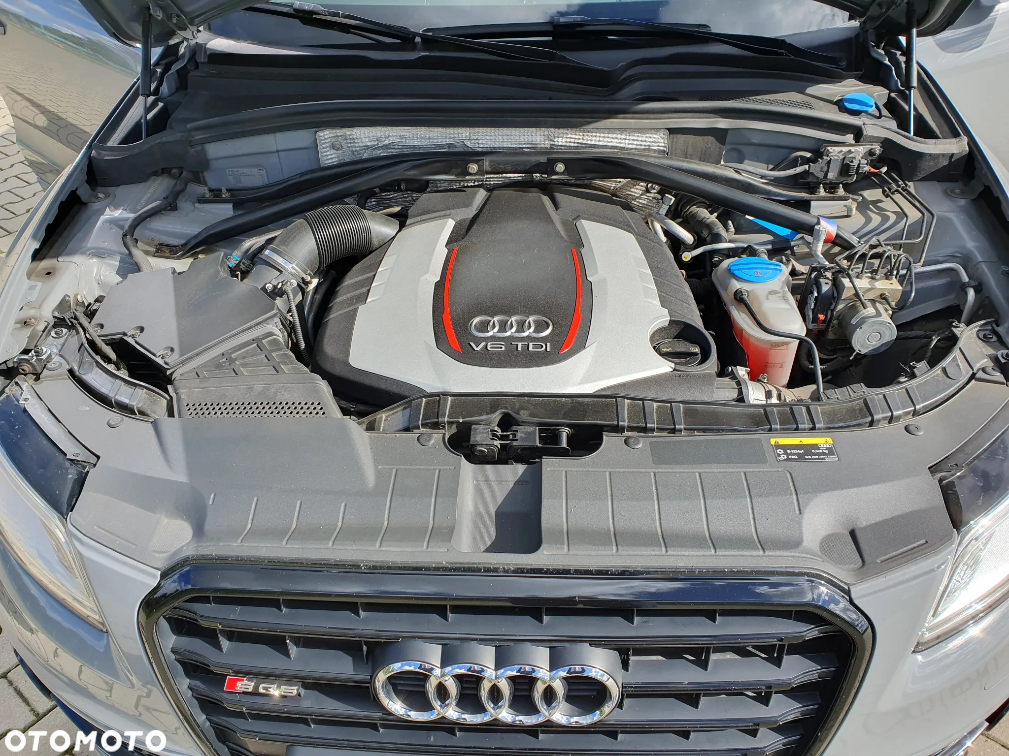Audi SQ5 3.0 TDI Plus Quattro Tiptr - 31