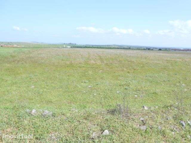 Terreno - vista espelho de agua Alqueva - Grande imagem: 2/8