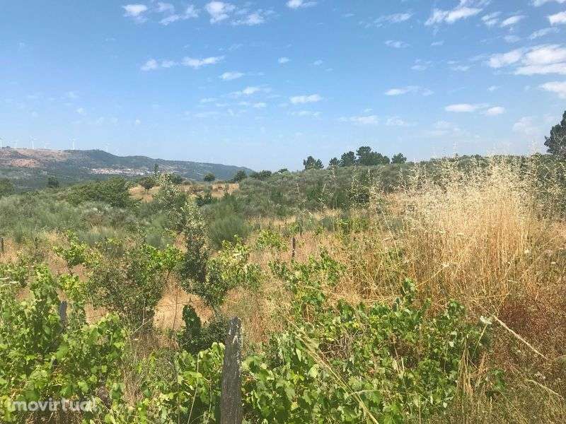 Conjunto de Terrenos Rústicos e Urbanos para Venda - Grande imagem: 4/12