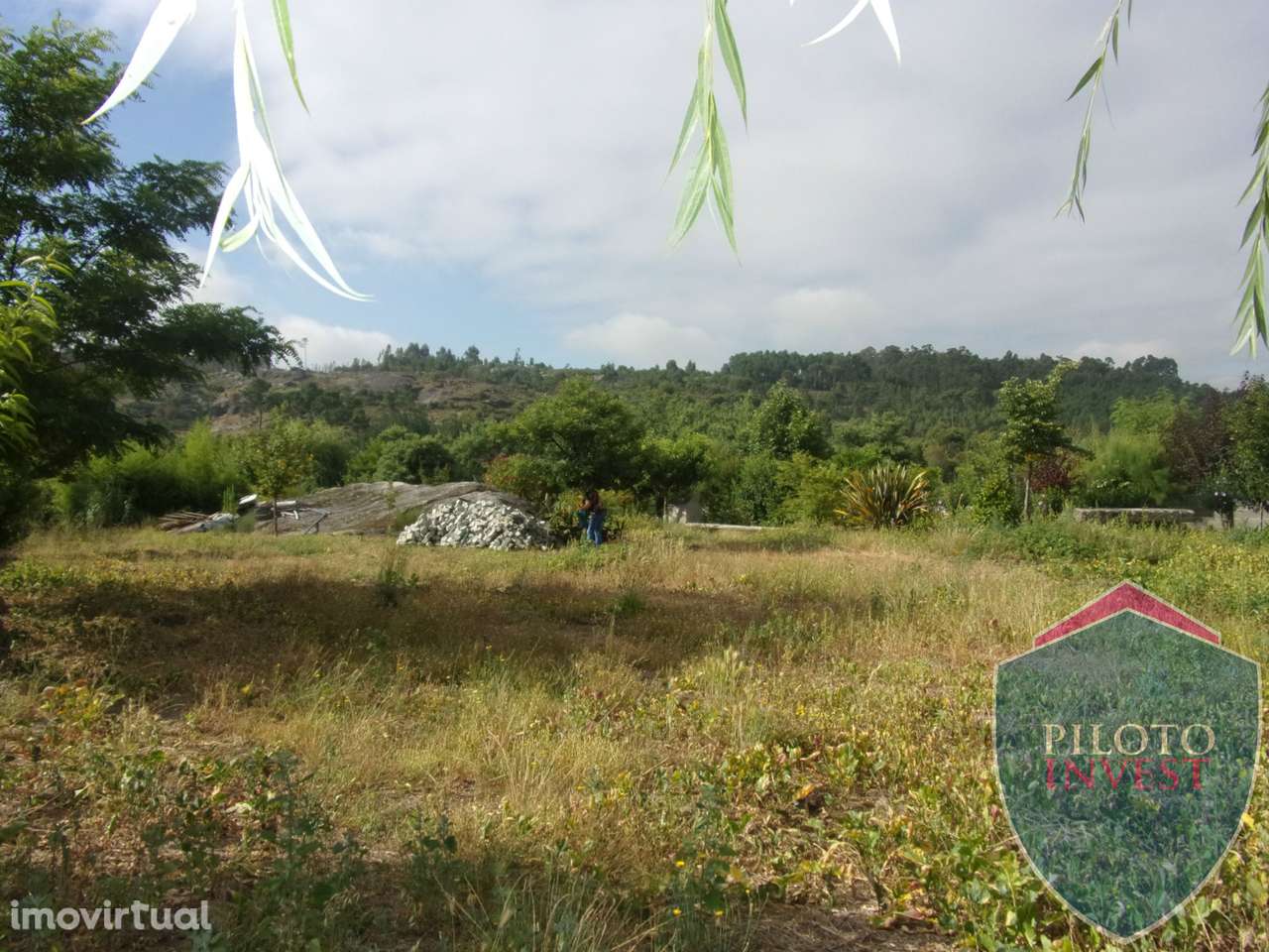 Quinta  Venda em Faíl e Vila Chã de Sá,Viseu - Grande imagem: 4/22