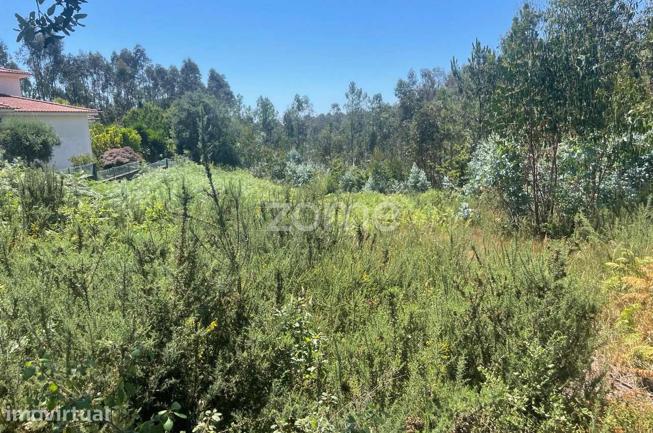 Terreno rústico, com 5500m2, em Oliveira de Azeméis - Grande imagem: 4/15