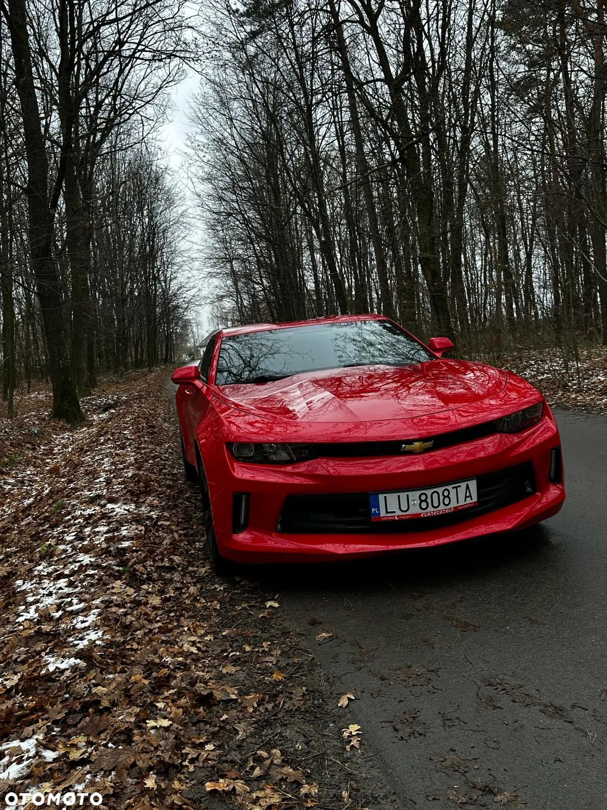 Chevrolet Camaro - 13