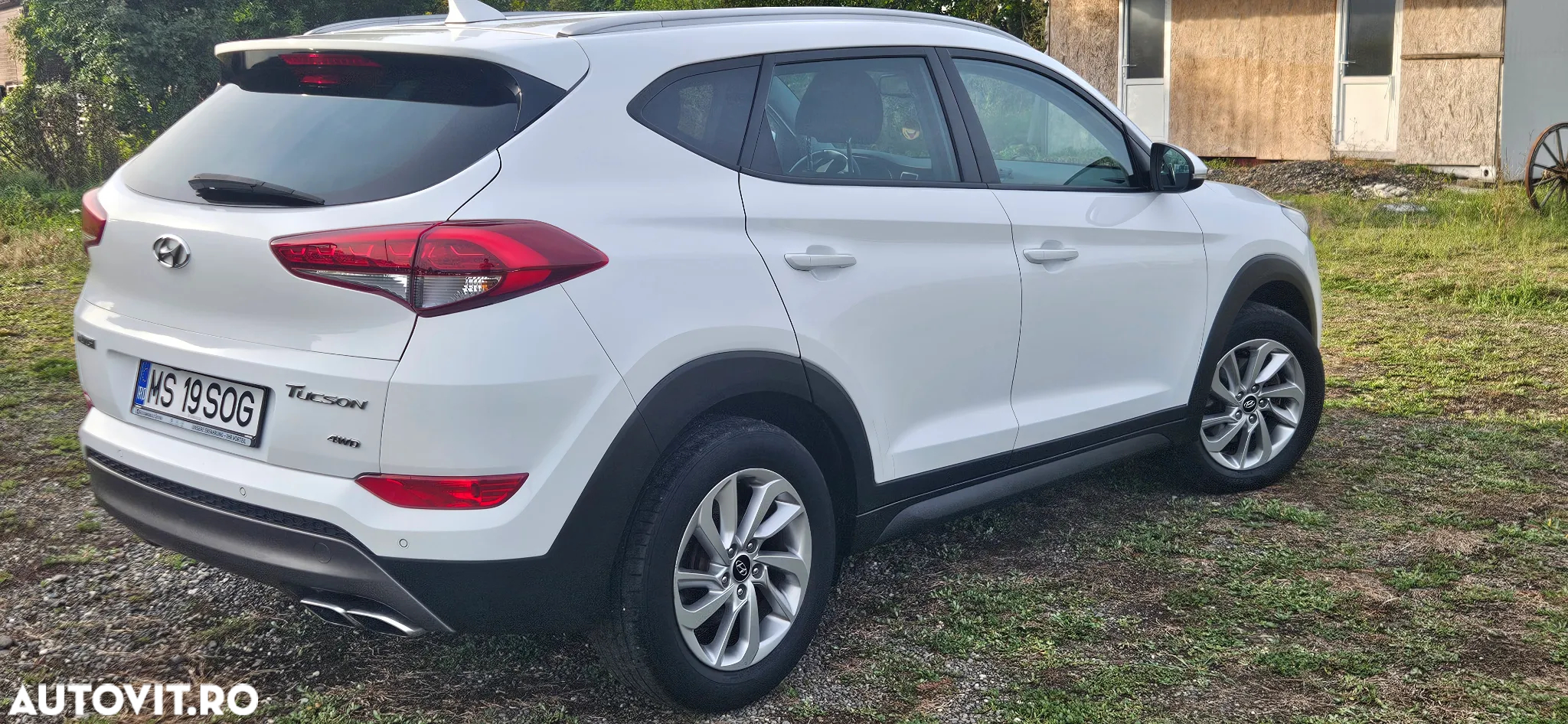 Kia Sportage - 2