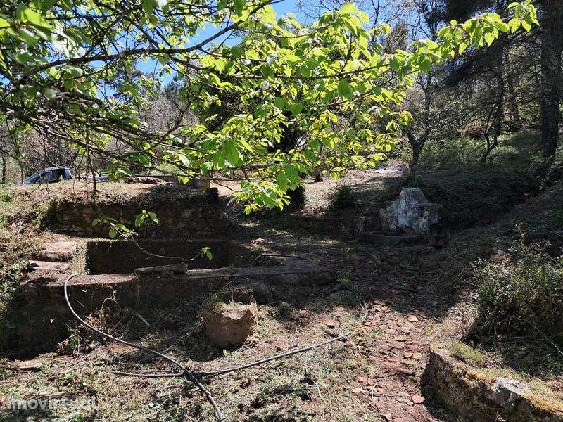 Quinta em São Salvador da Aramenha Marvão Portalegre Alto Alentejo - Grande imagem: 4/11