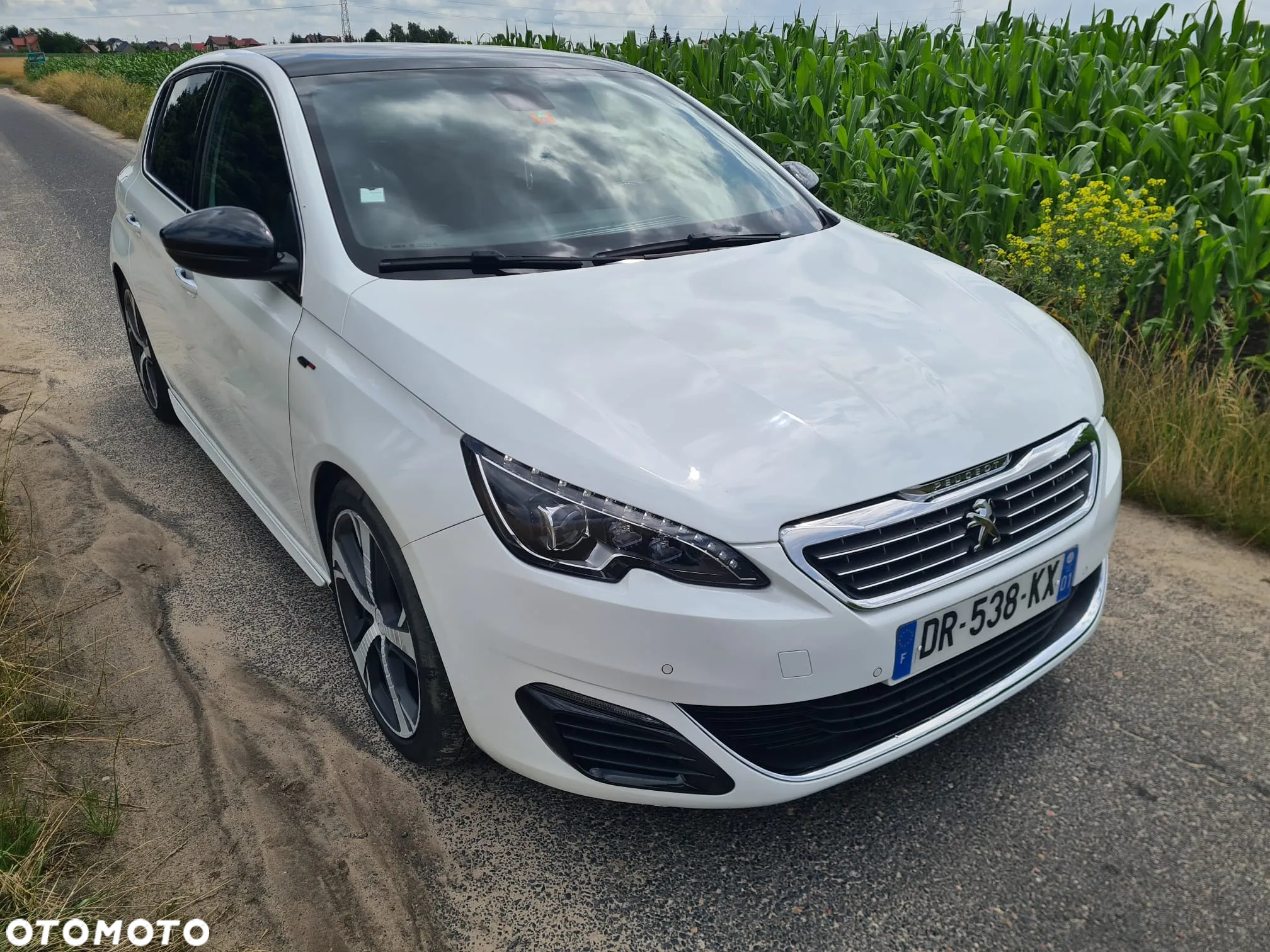 Peugeot 308 BlueHDi 180 EAT6 GT - 15