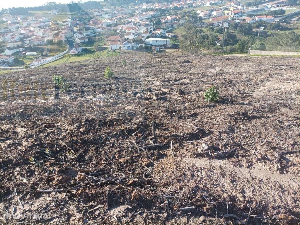 Terreno com PIP Aprovado para a construção de 5 moradias!! - Grande imagem: 5/11