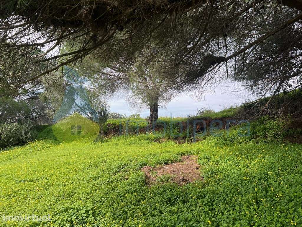 LOTE EXCLUSIVO PARA MORADIA DE SONHO COM PISCINA NA QUINTA DOS BARR... - Grande imagem: 3/10