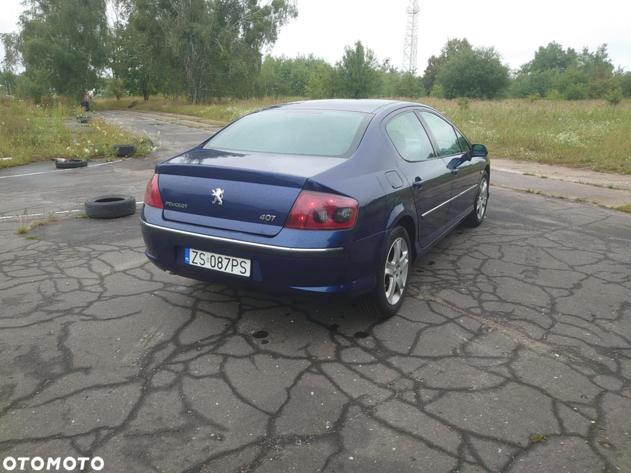 Peugeot 407 2.0 SV Executive - 8