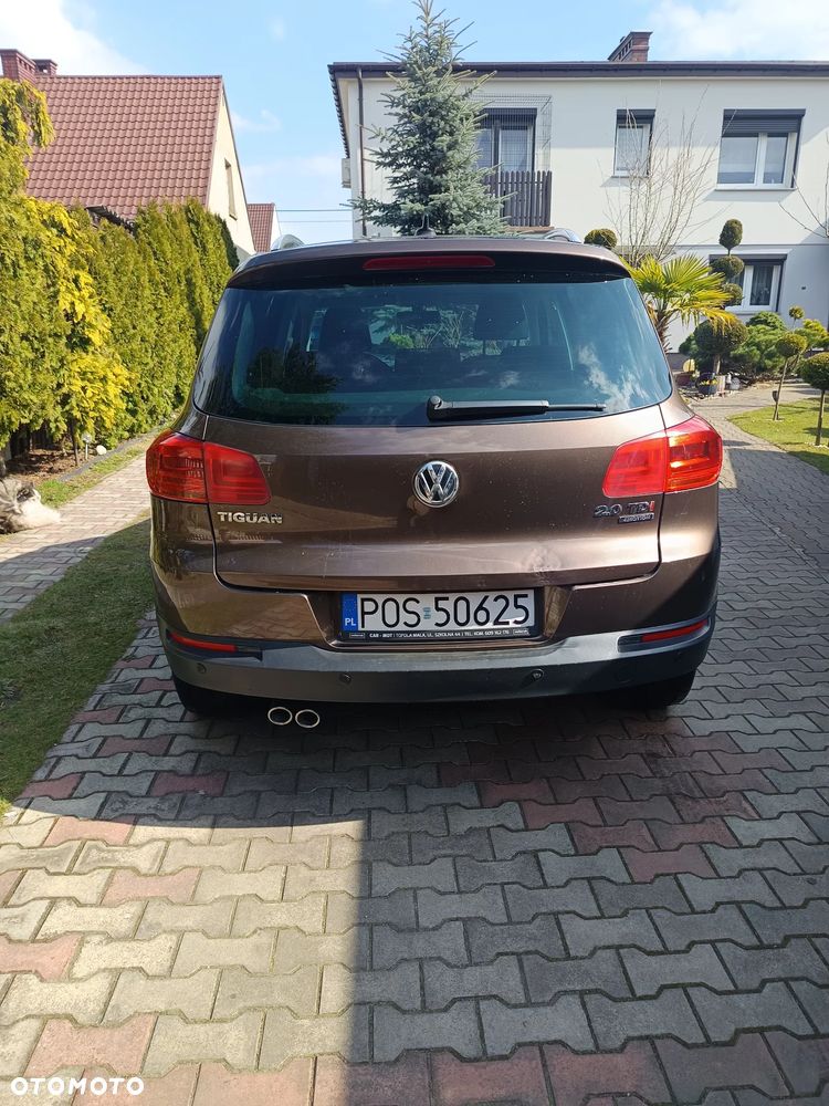 Volkswagen Tiguan - 12