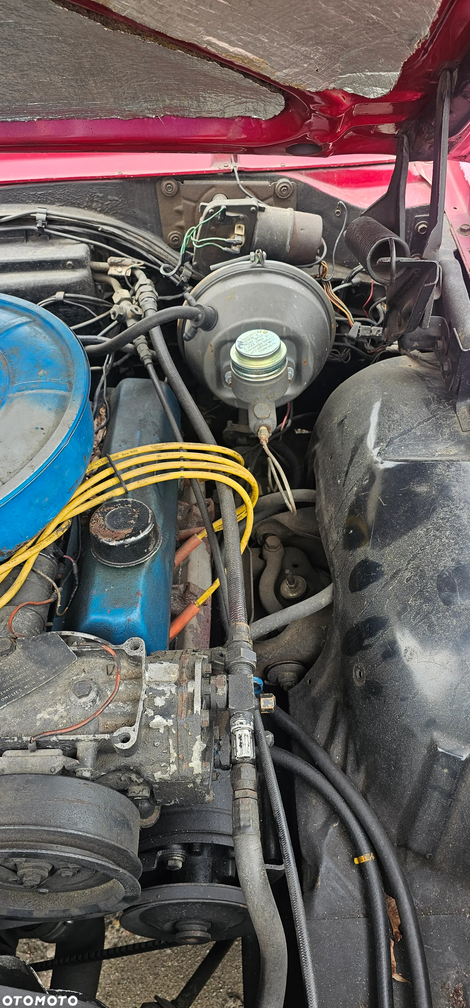 Ford Inny - 7