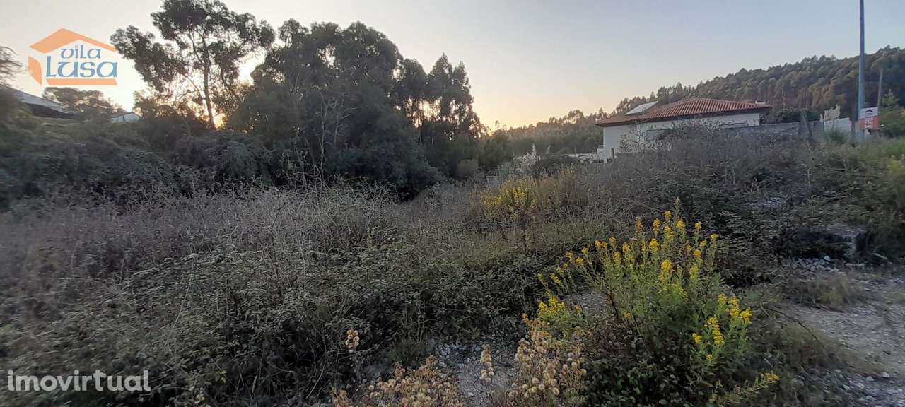 4 Lotes de Terrenos  Baguim do Monte- Excelente  Localização - Grande imagem: 5/5