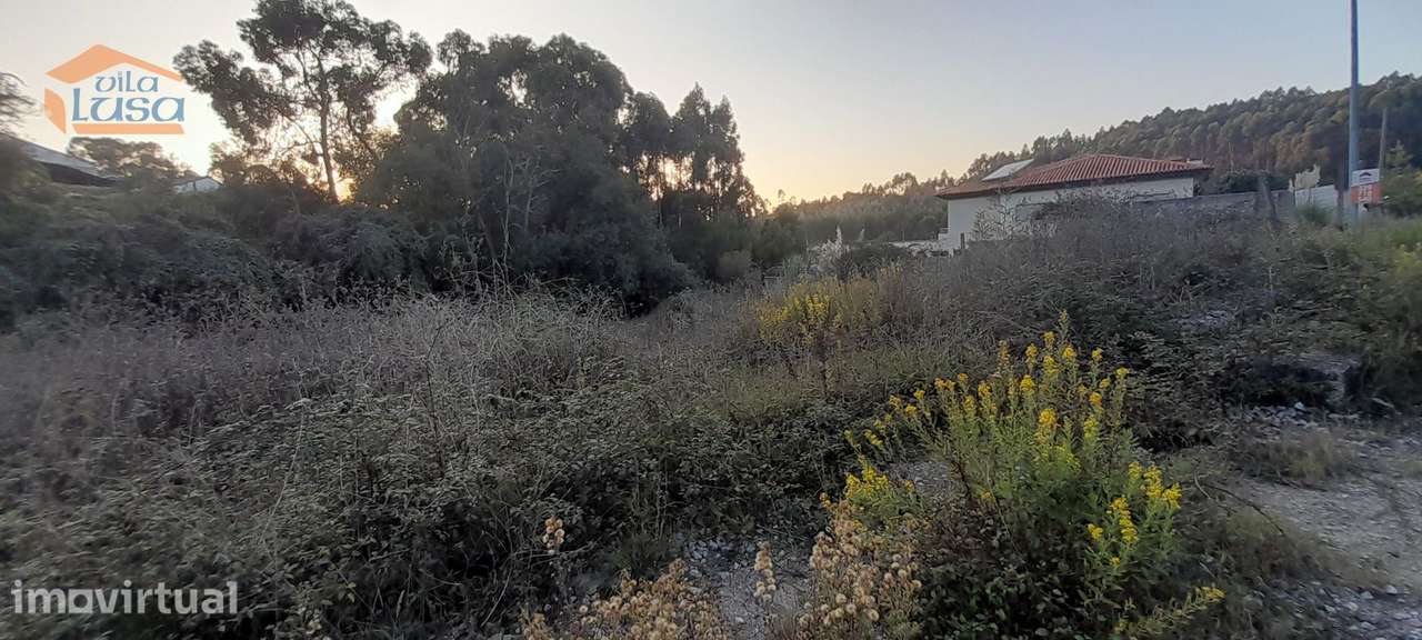 4 Lotes de Terrenos  Baguim do Monte- Excelente  Localização - Grande imagem: 5/5