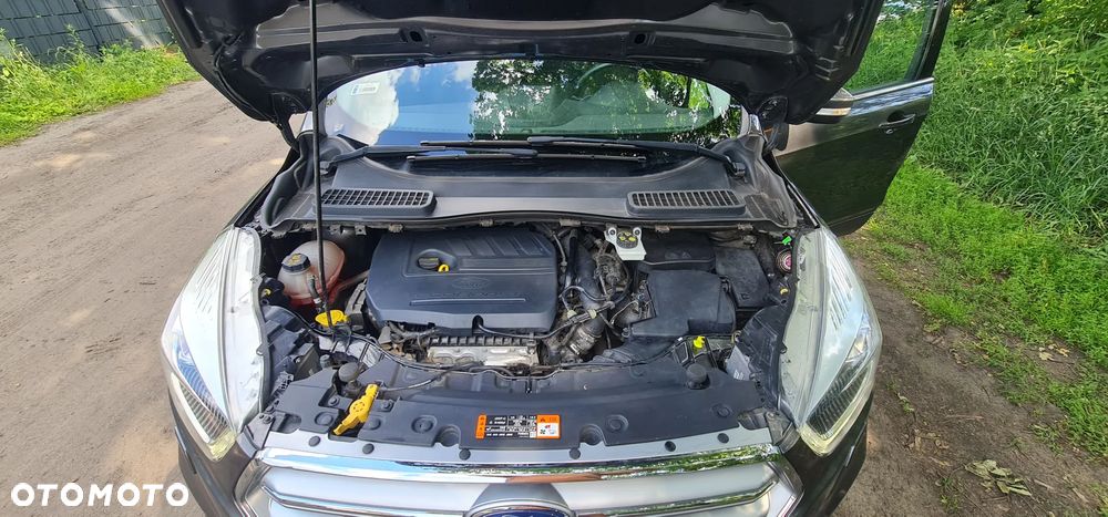 Ford Kuga 1.5 EcoBoost FWD Edition ASS MMT6 - 14