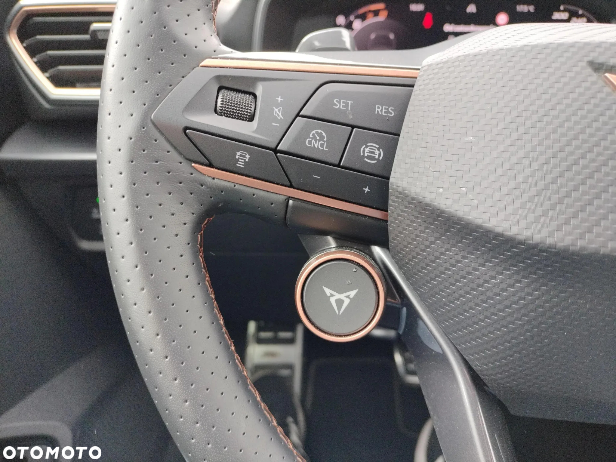 Cupra Formentor - 26