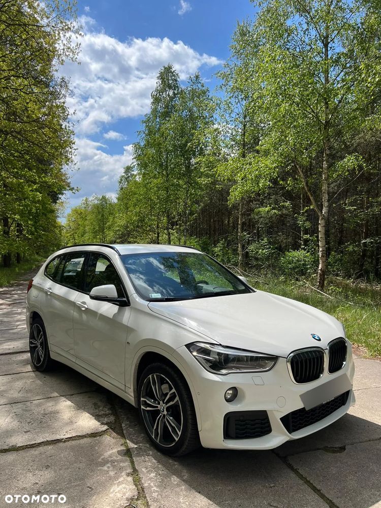 BMW X1 xDrive25d Sport Line sport - 17