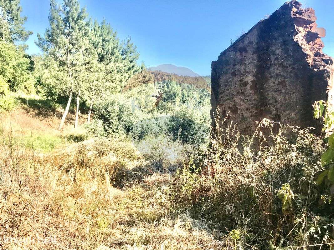 Terreno  para venda - Grande imagem: 2/15