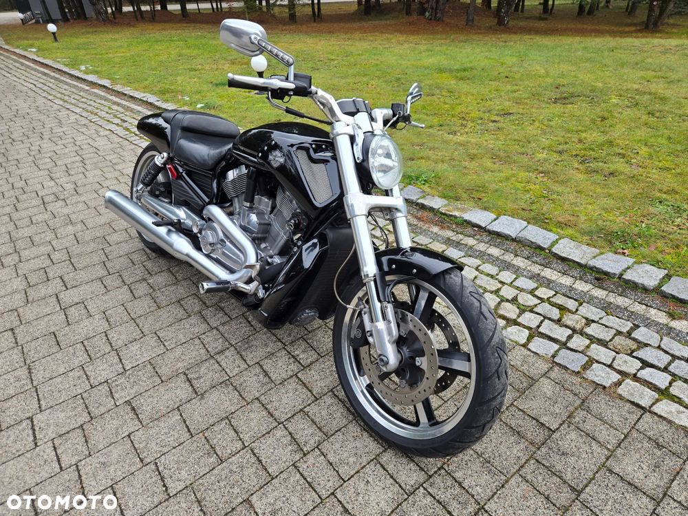 Harley-Davidson V-Rod Muscle - 5