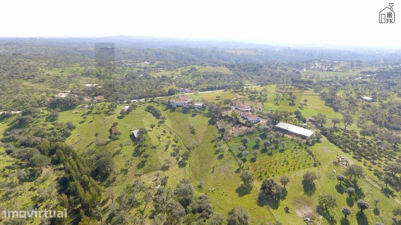 Melides - Monte da Pereira Verde Nova - Valinho da Estrada - Grande imagem: 5/19