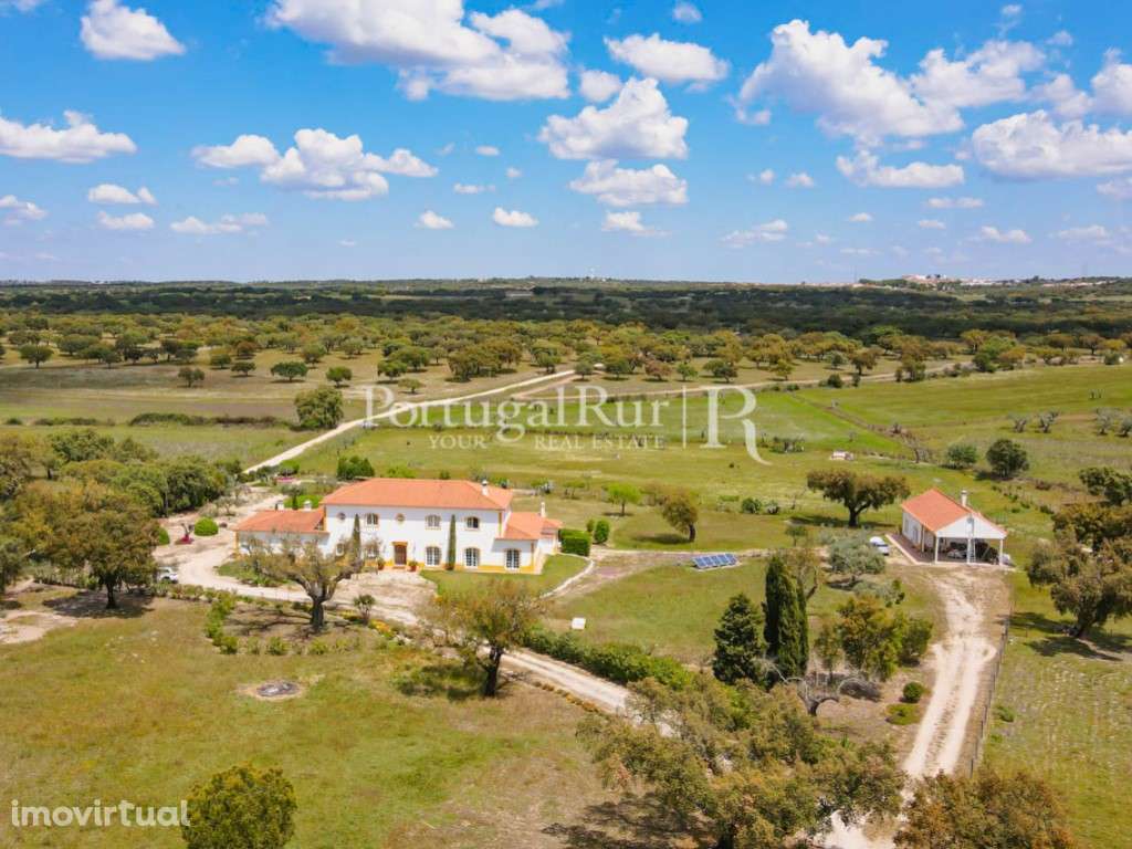 Excelente quinta de 3,95ha com 2 casas - Grande imagem: 4/60
