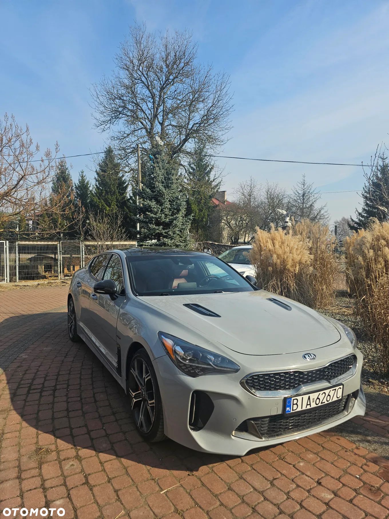 Kia Stinger - 1