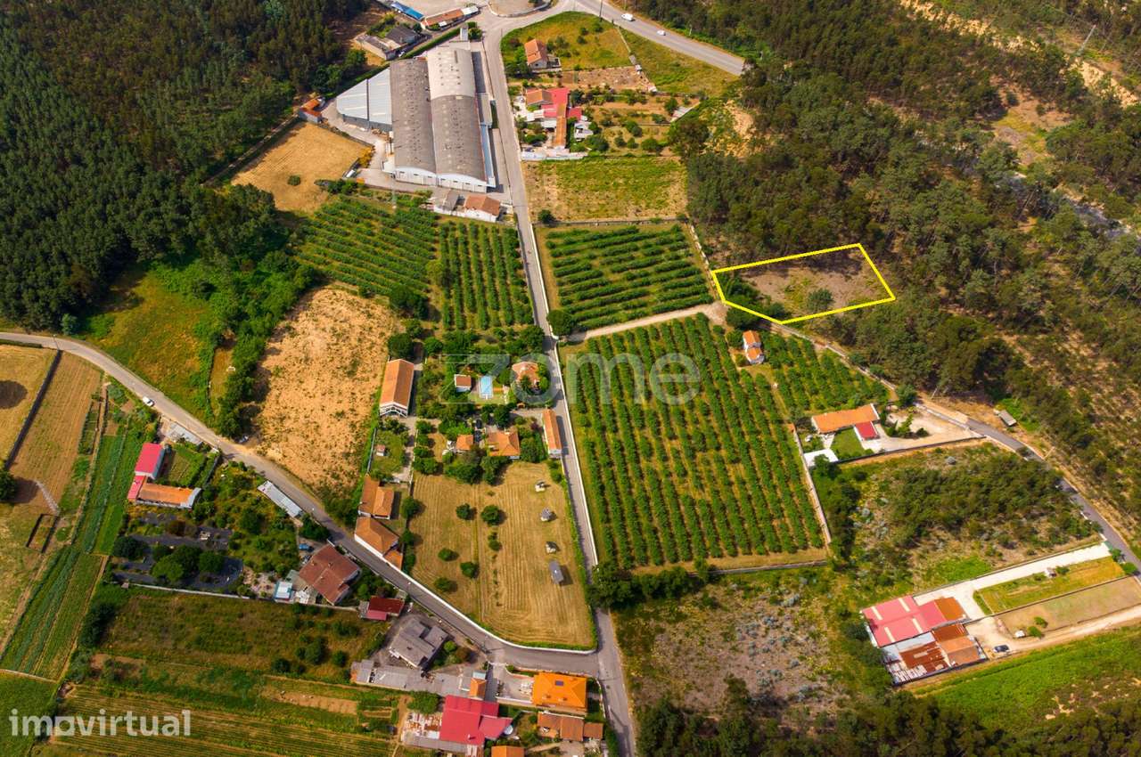 Pinhal, acesso betuminoso, Estrada Real, Recardães, Águeda - Grande imagem: 2/21