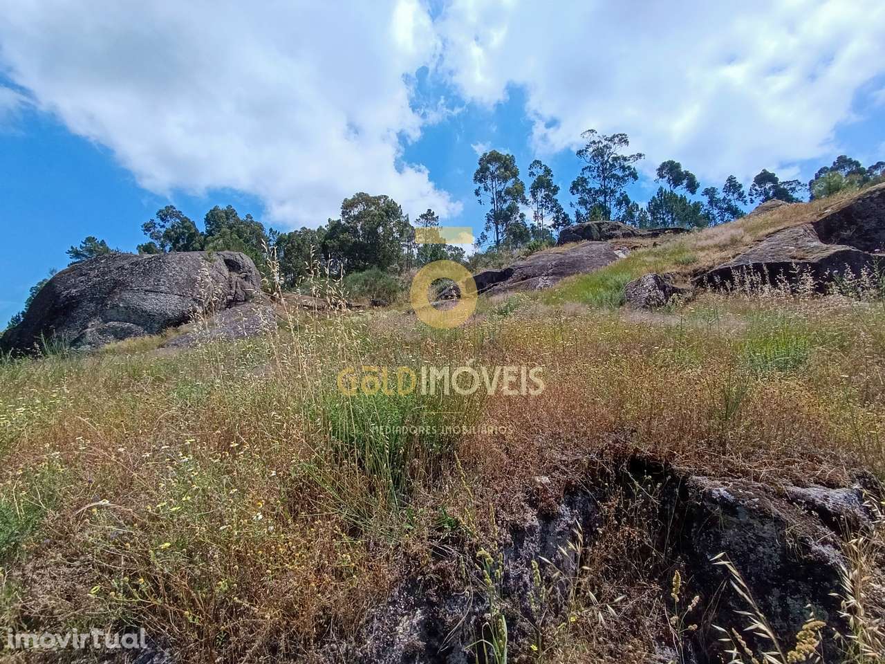 Terreno Rústico  Venda em Vila Boa de Quires e Maureles,Marco de Canav - Grande imagem: 5/7