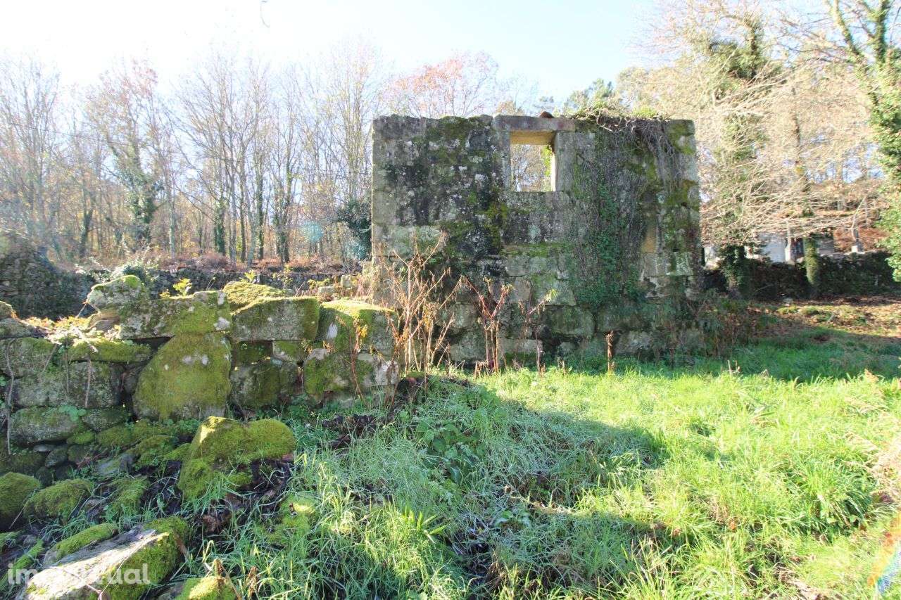 Quinta c/casas granito – São Pedro do Sul - Grande imagem: 5/51