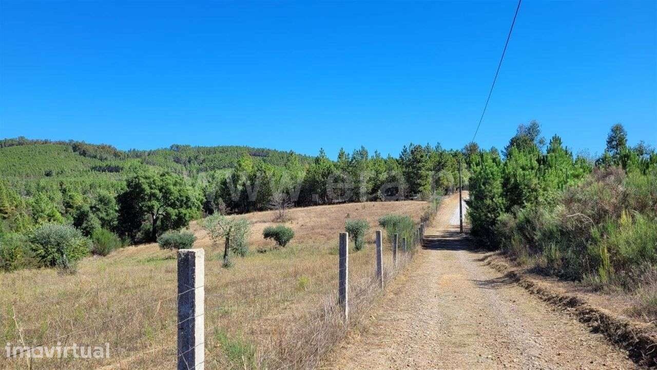 Quinta / Fundão, Enxames - Grande imagem: 5/12