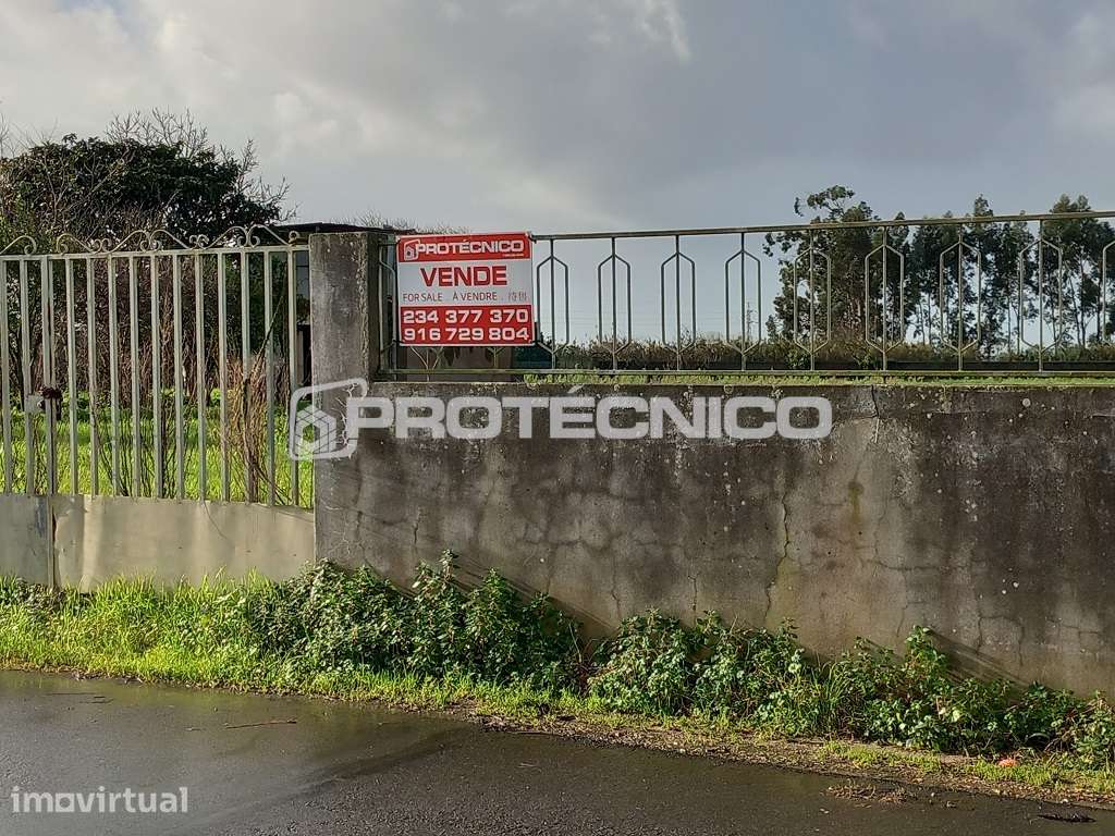 Terreno p/ Moradia Isolada Térrea - Ílhavo - Grande imagem: 5/11