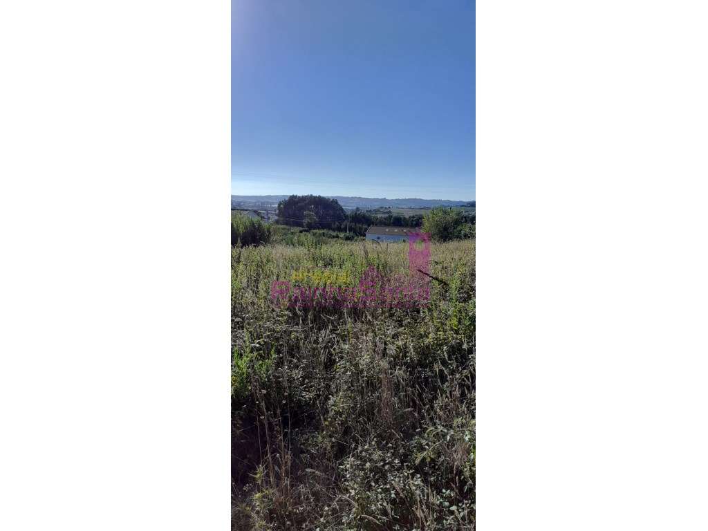 Terreno 7 360 m2 - Torres Vedras - 50 km Lisboa - Grande imagem: 2/3