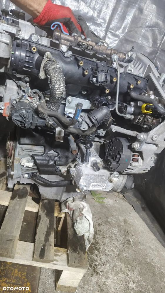 SILNIK FIAT 500 JEEP 2.0 JTD 55263087 KOMPLETNY - 2