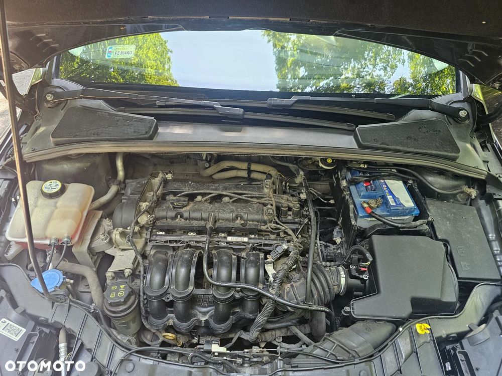 Ford Focus - 18