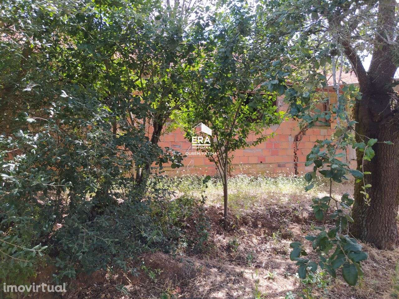 Armazém localizado na Soalheira! - Grande imagem: 2/8