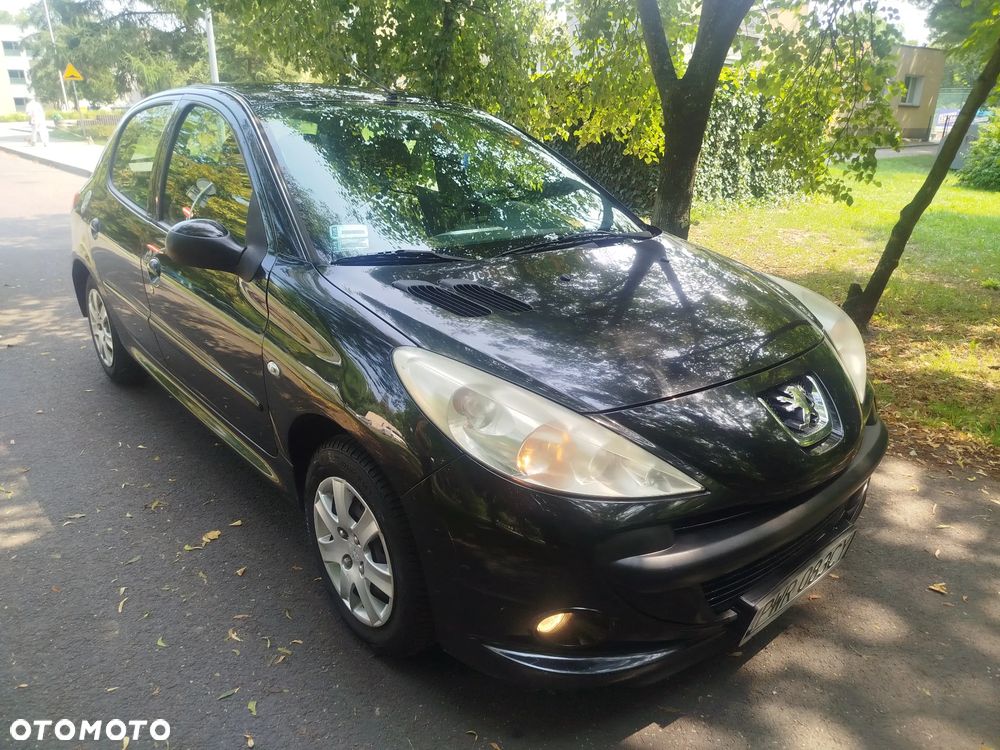 Peugeot 206 plus - 5