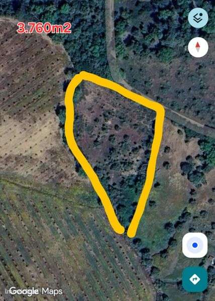 Terreno rústico 3.760m2  (Vinha e Oliveiras) - Grande imagem: 2/2