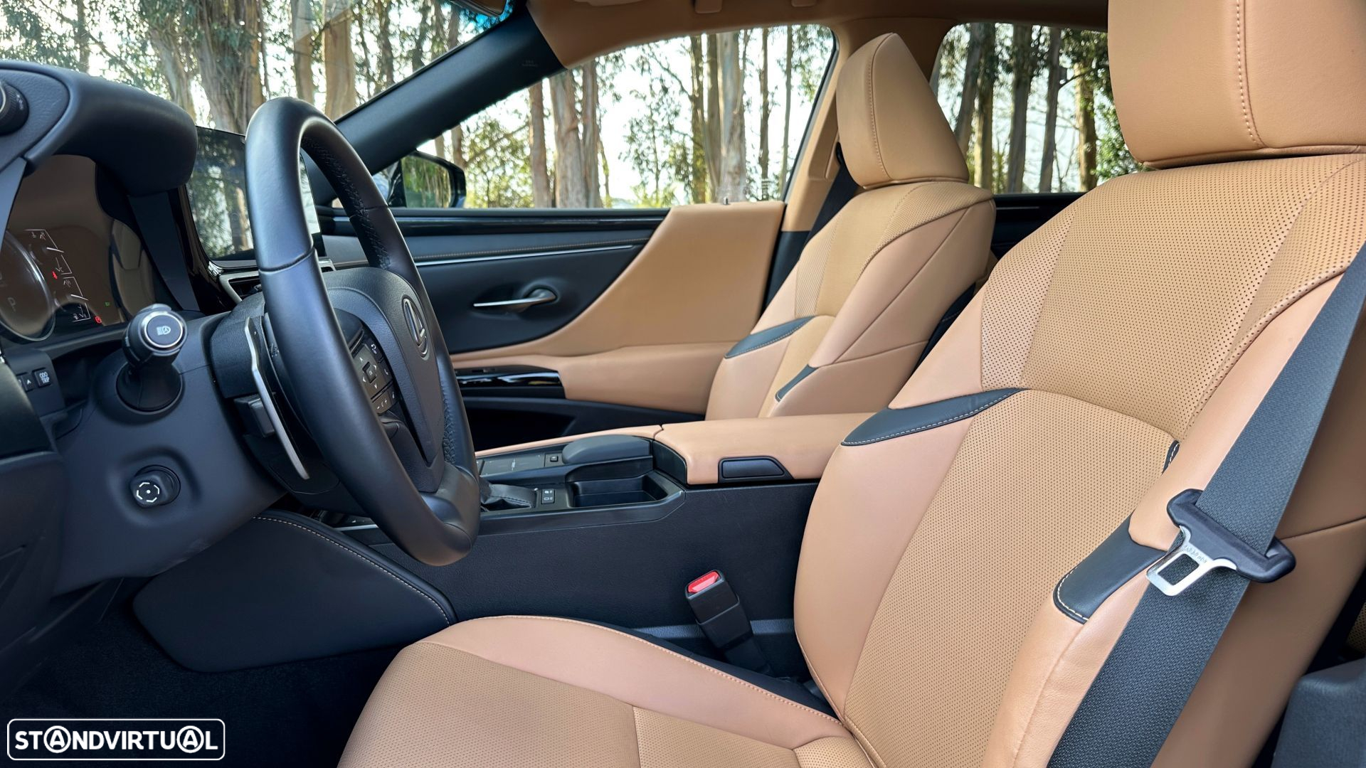 Lexus ES 300h Special Edition - 13