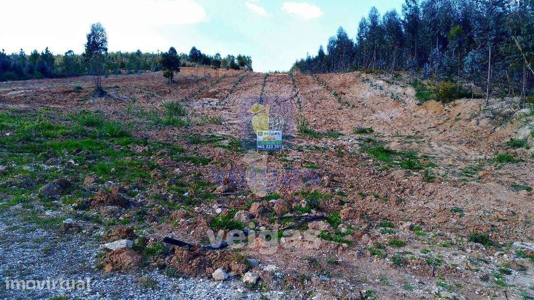 Terreno na zona Industrial das Gaeiras! - Grande imagem: 4/8