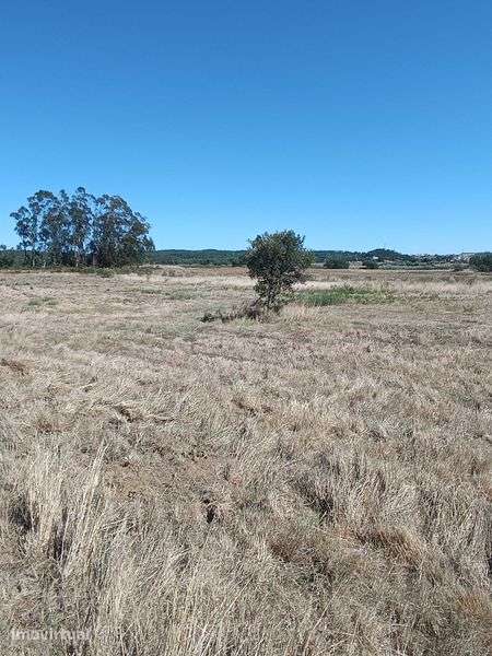 Terreno agrícola - Abrigada e Cabanas de torres - Terra "Viana" - Grande imagem: 5/8