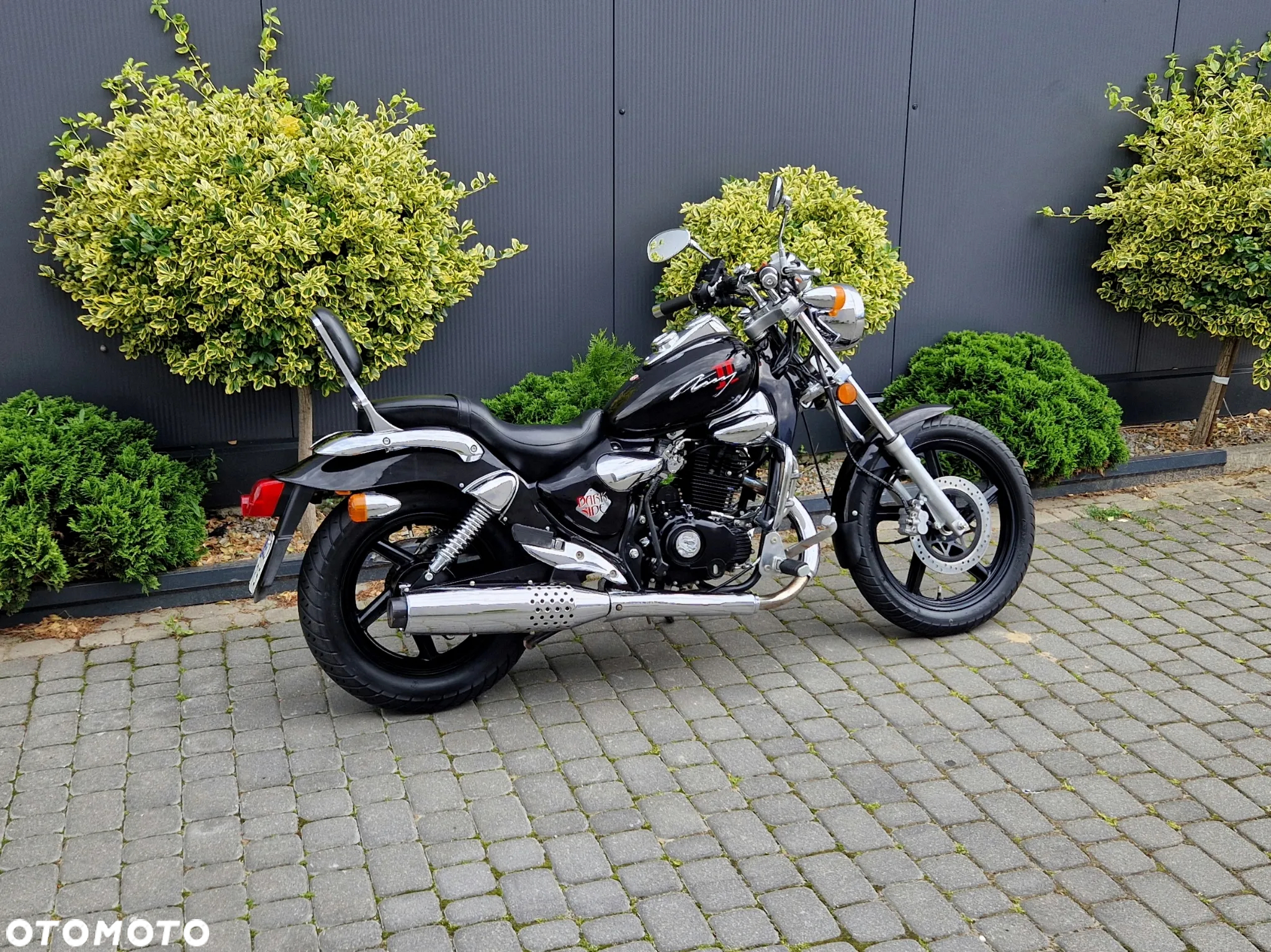 Kymco Zing - 5