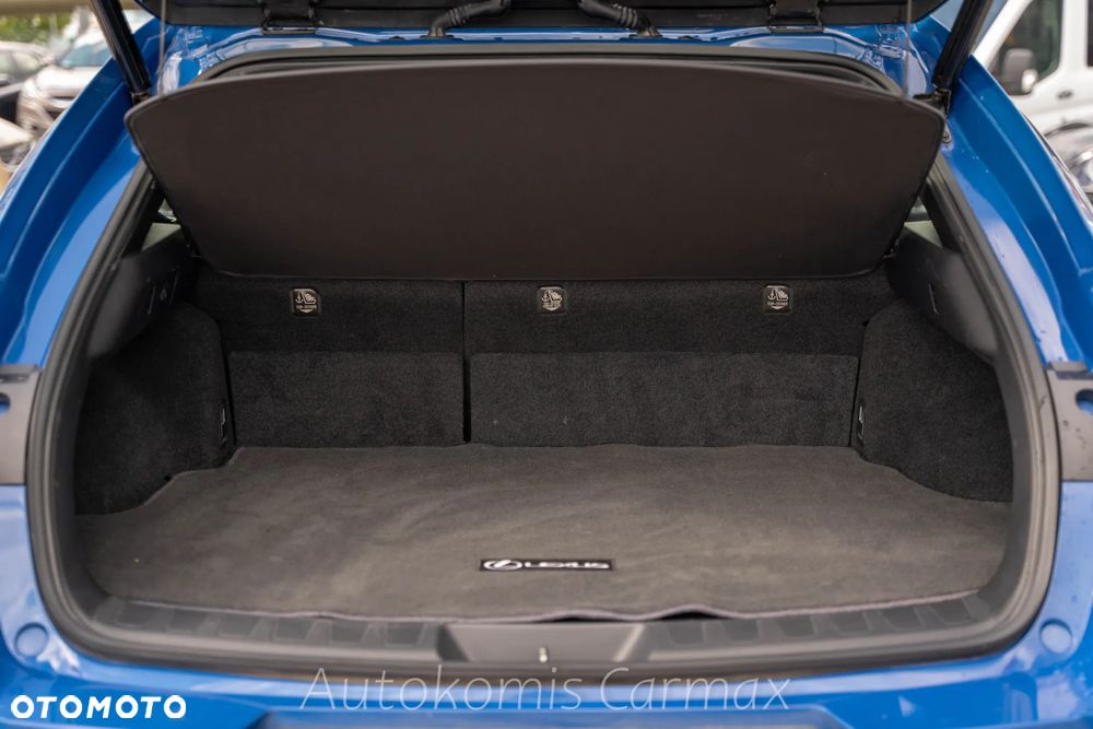 Lexus UX 250h - 14