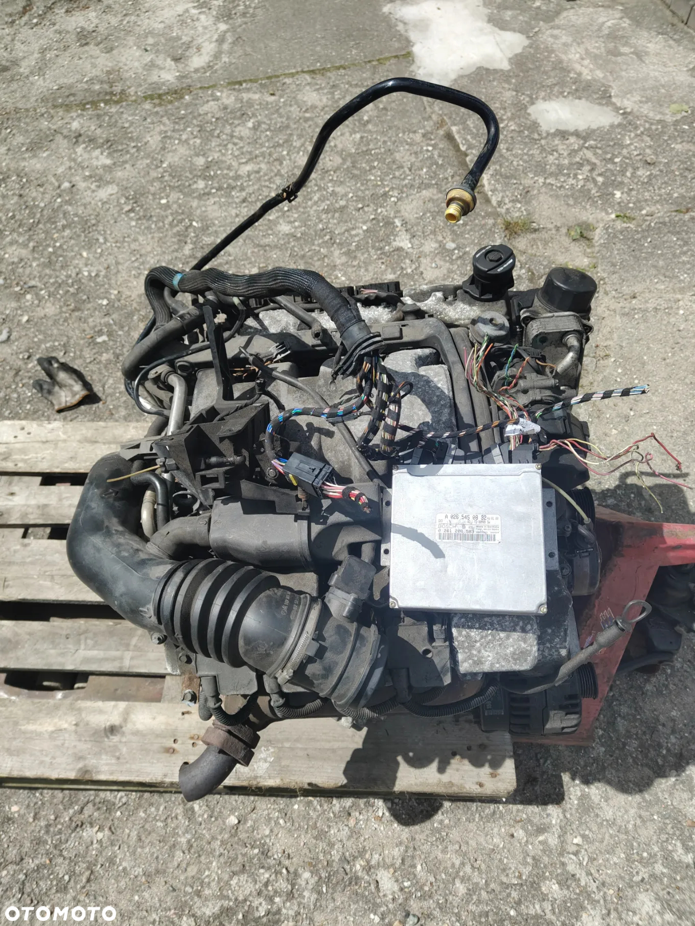 SILNIK KOMPLETNY SWAP Mercedes 5.5 AMG 113981 M113 Ml w163 w220 - 15