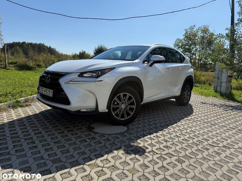Lexus NX 200t Comfort AWD - 7