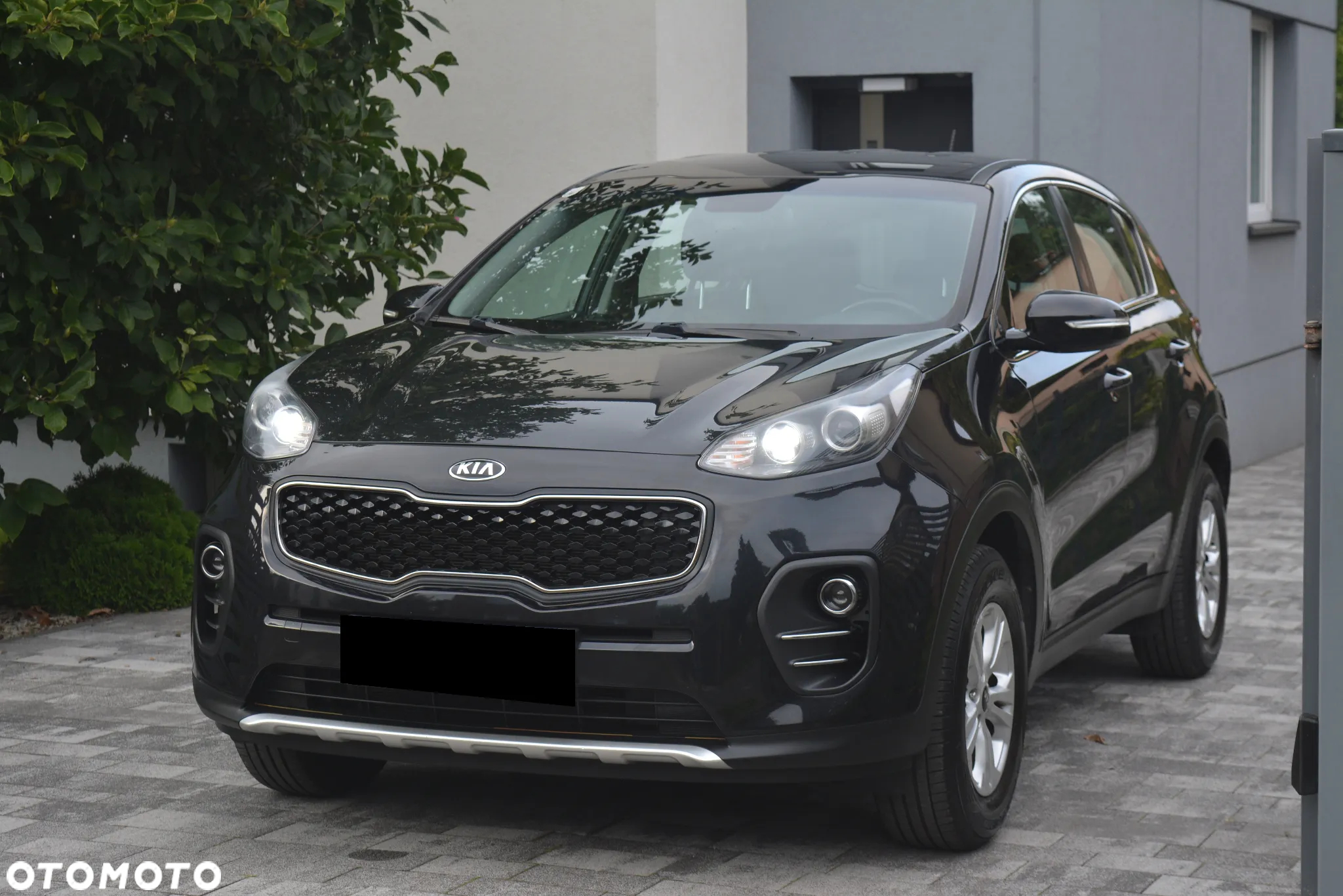 Kia Sportage 1.6 GDI Black Edition 2WD - 23