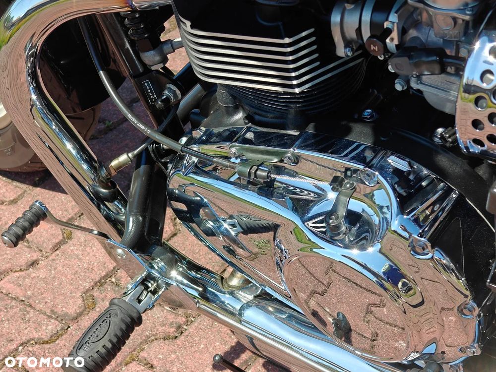 Triumph America - 27