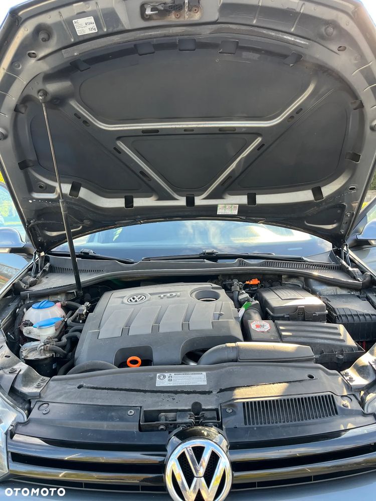 Volkswagen Golf - 13