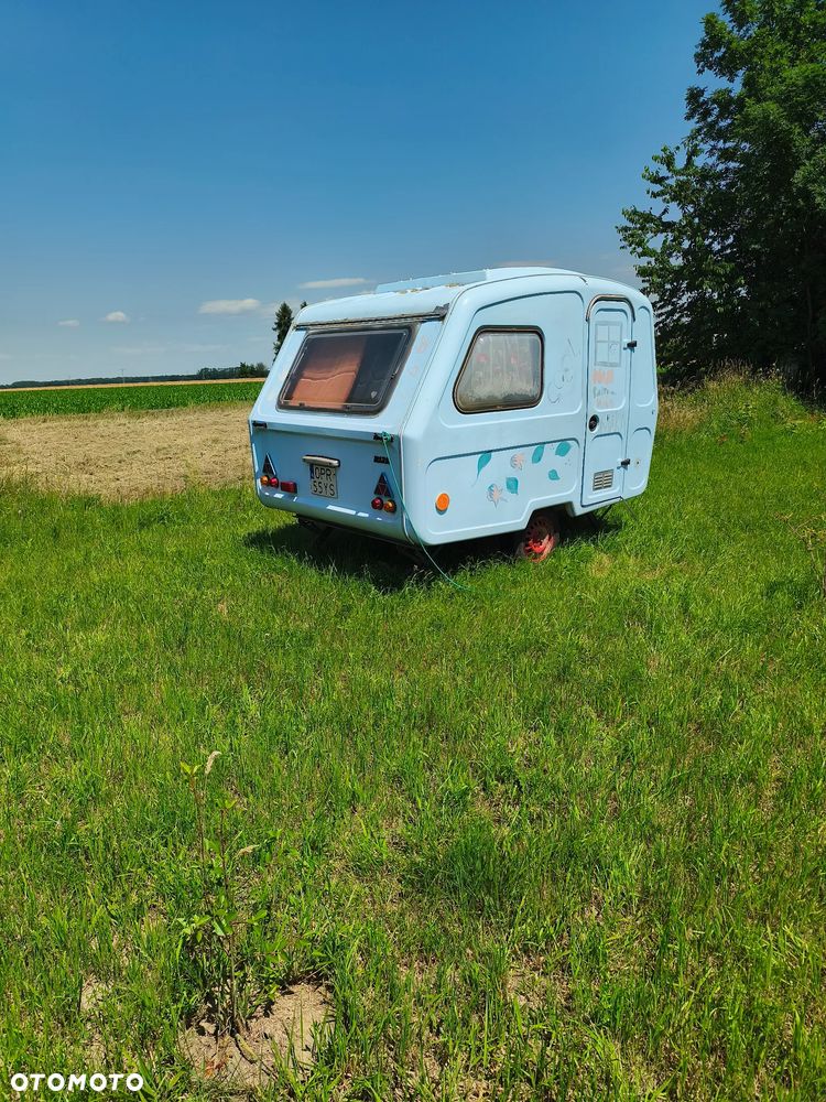 Niewiadów N126 - 1