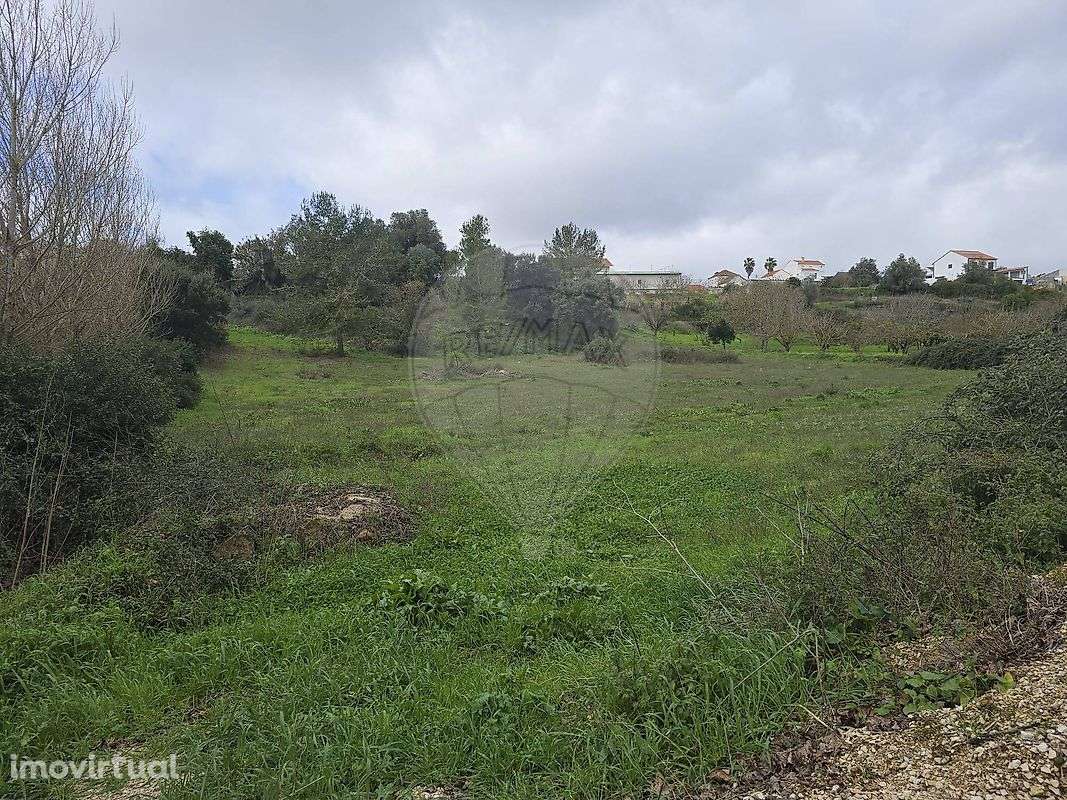 Terreno  para venda - Grande imagem: 5/5