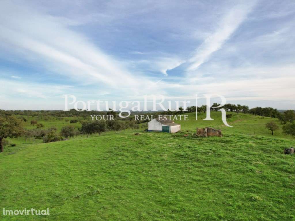 Monte das Colinas - 13.5 Hectares - São Bartolomeu da Serra - Grande imagem: 3/36