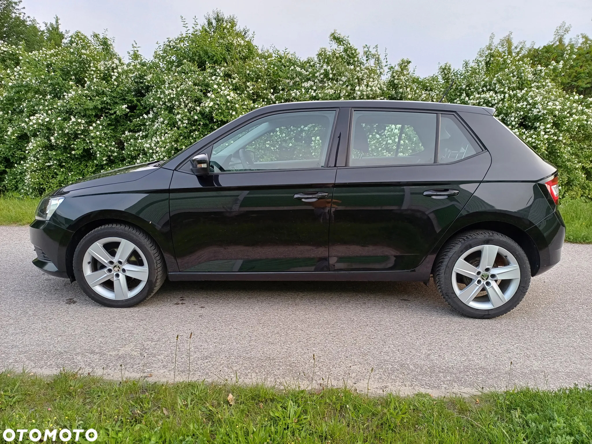 Skoda Fabia 1.0 MPI Ambition - 2